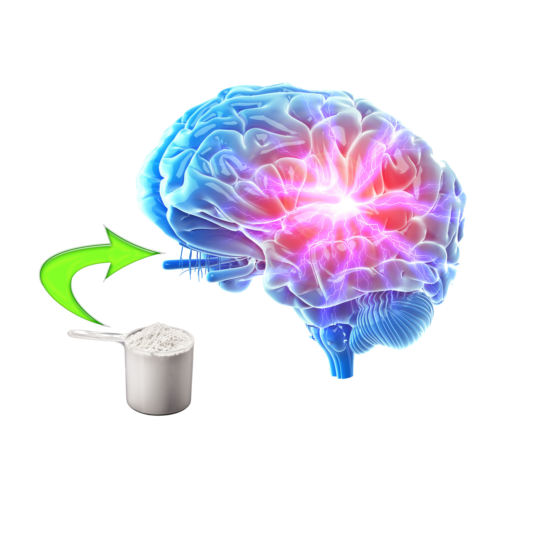 Creatina: il carburante anche per il cervello