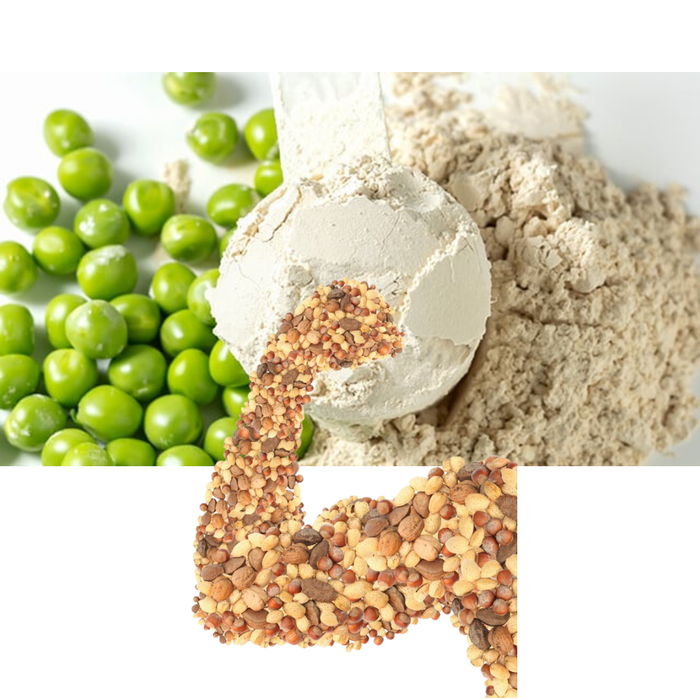 “Proteine Vegetali: Nutrimento Naturale per Corpo e Mente”