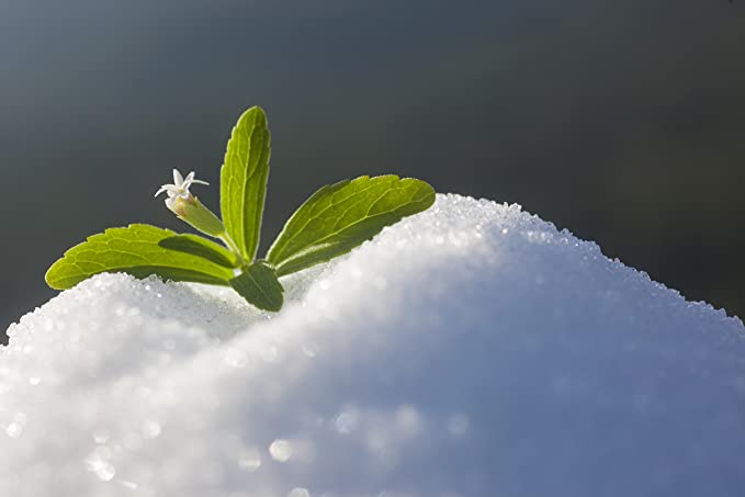 ZeroCal - 1:1 (Stevia - Eritritolo) - 1kg - potere dolcificante uguale allo zucchero tradizionale